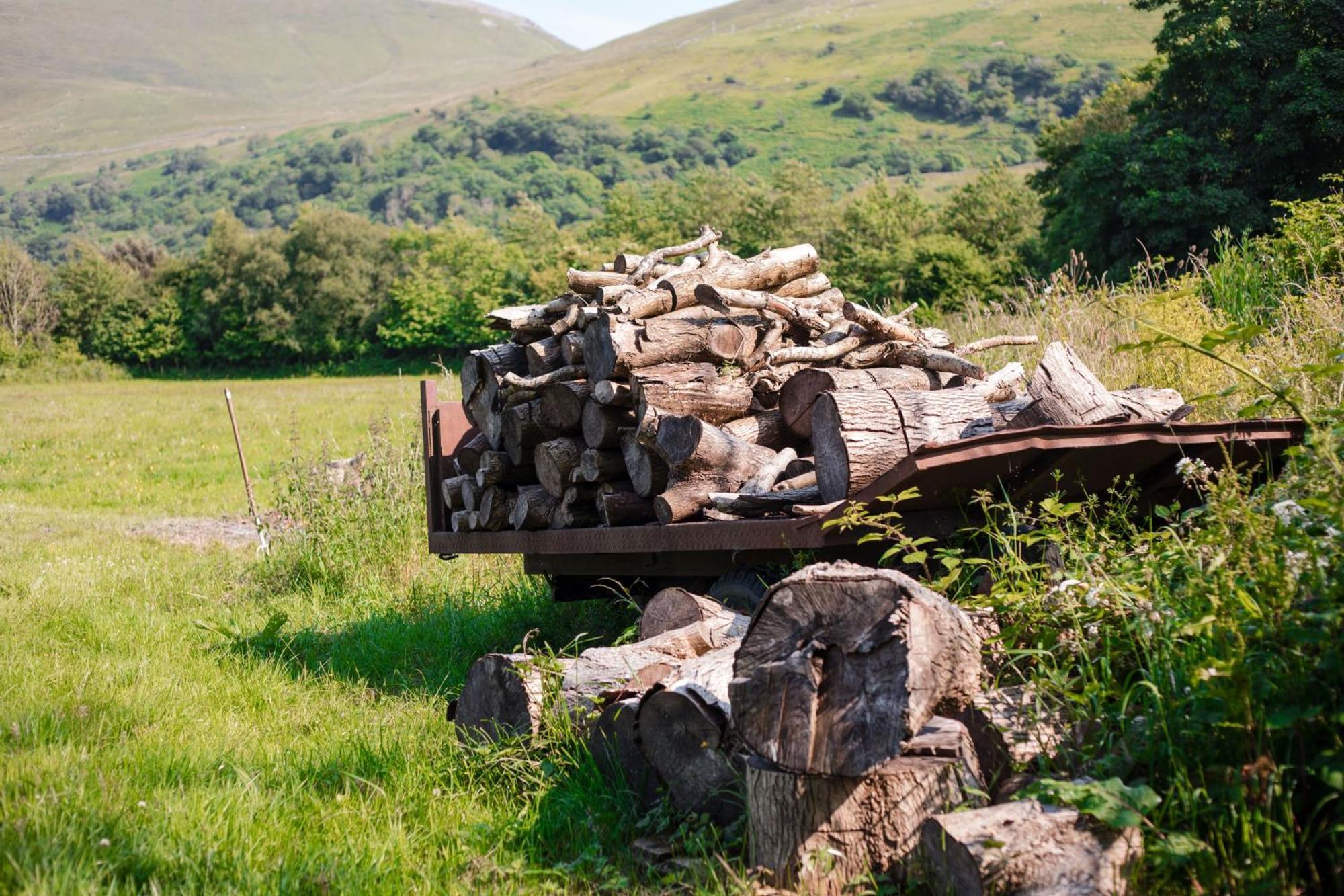 Nantlle Trigonos - Quiet, Peaceful, Vegetarian B&B And Retreat Centre المظهر الخارجي الصورة