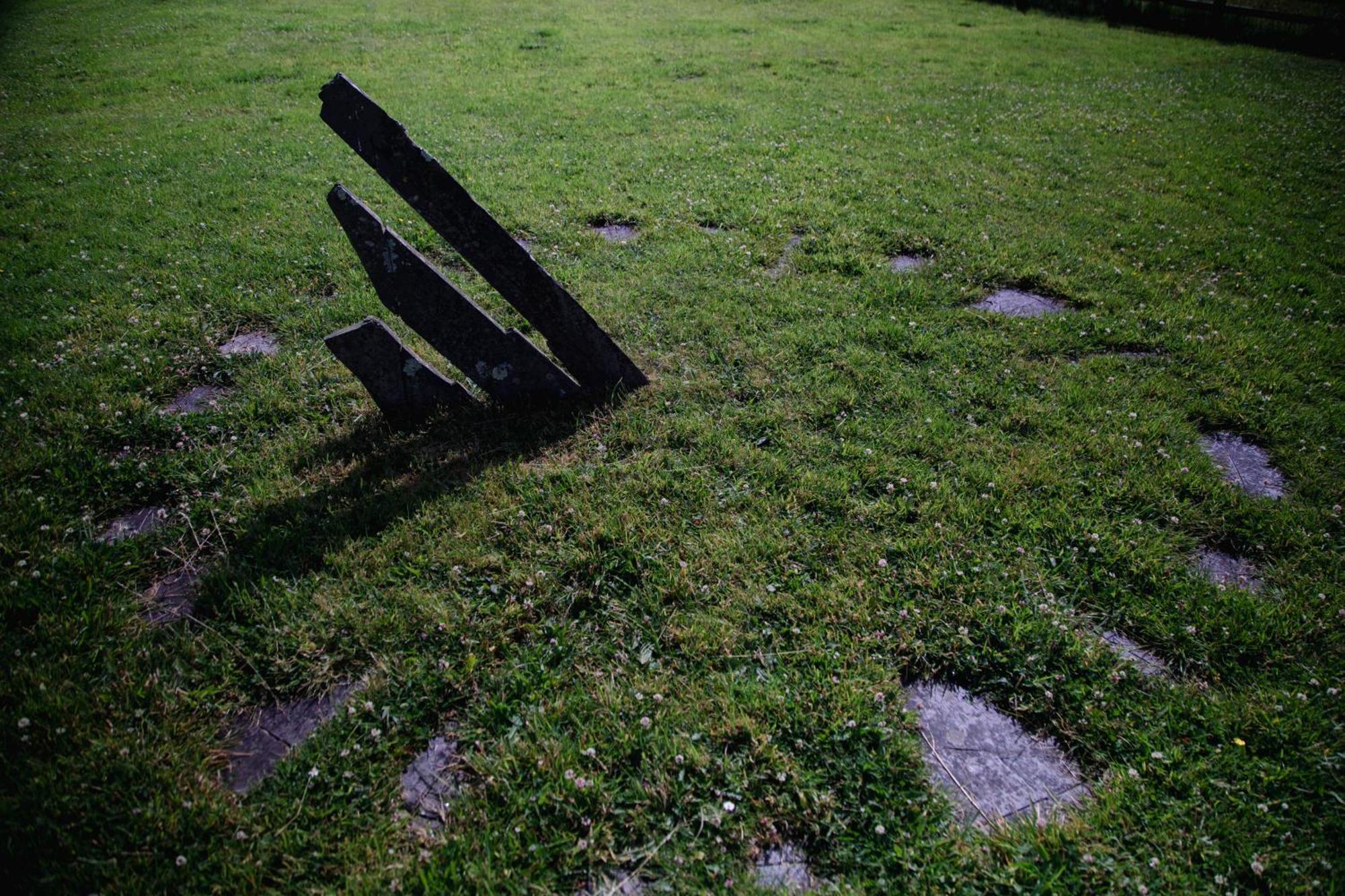 Nantlle Trigonos - Quiet, Peaceful, Vegetarian B&B And Retreat Centre المظهر الخارجي الصورة