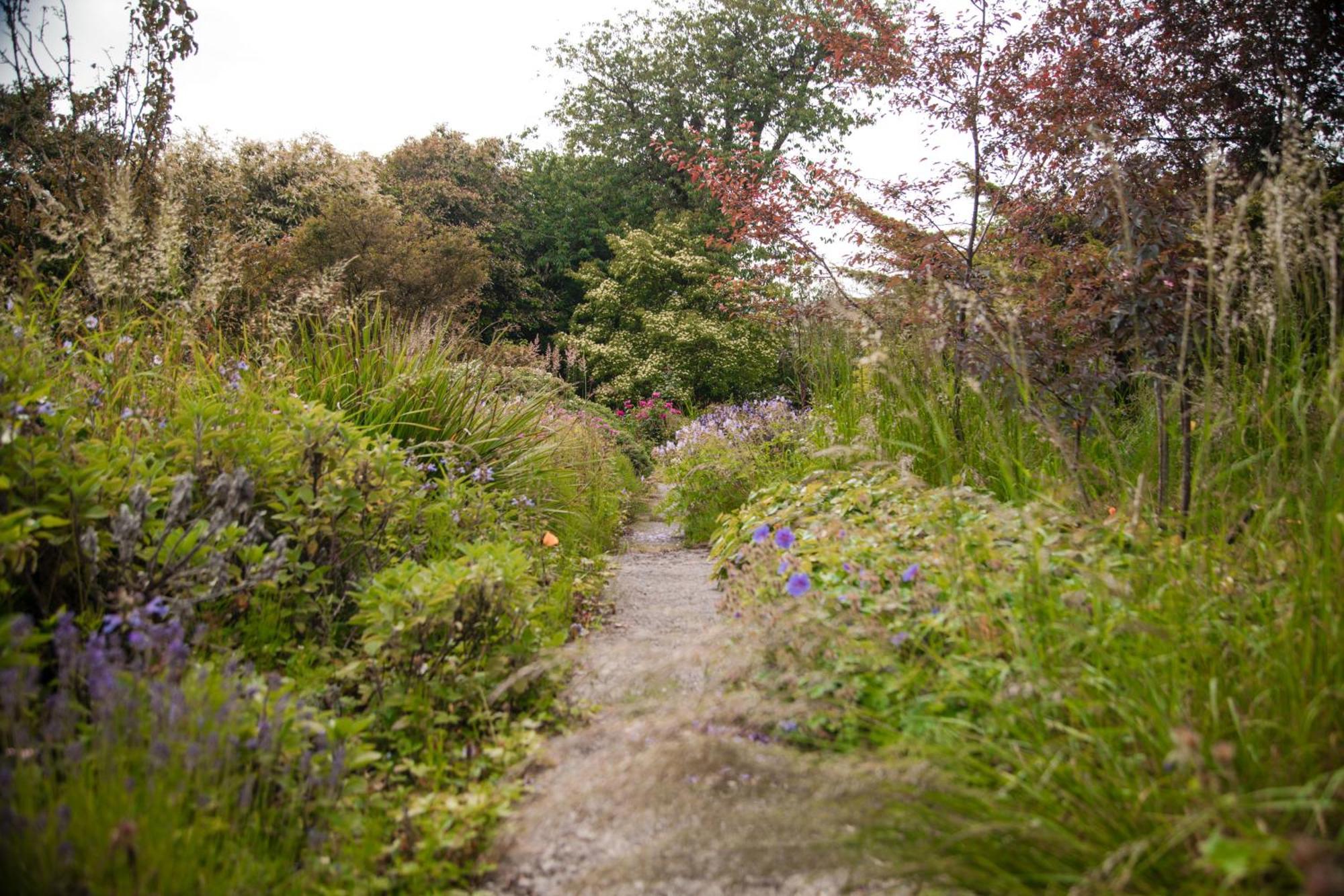 Nantlle Trigonos - Quiet, Peaceful, Vegetarian B&B And Retreat Centre المظهر الخارجي الصورة