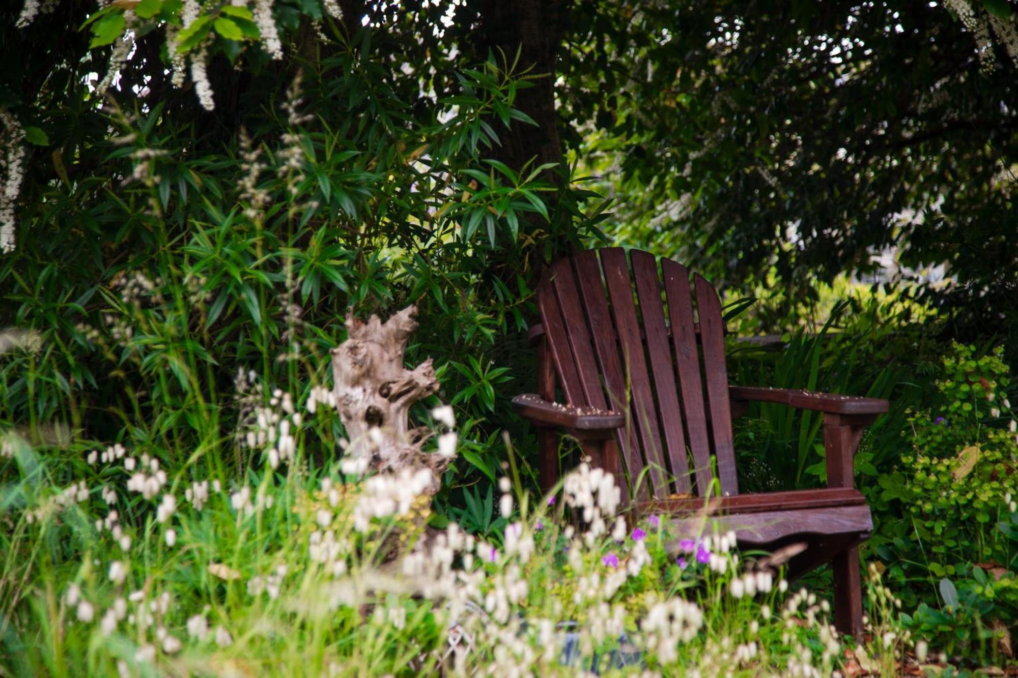 Nantlle Trigonos - Quiet, Peaceful, Vegetarian B&B And Retreat Centre المظهر الخارجي الصورة