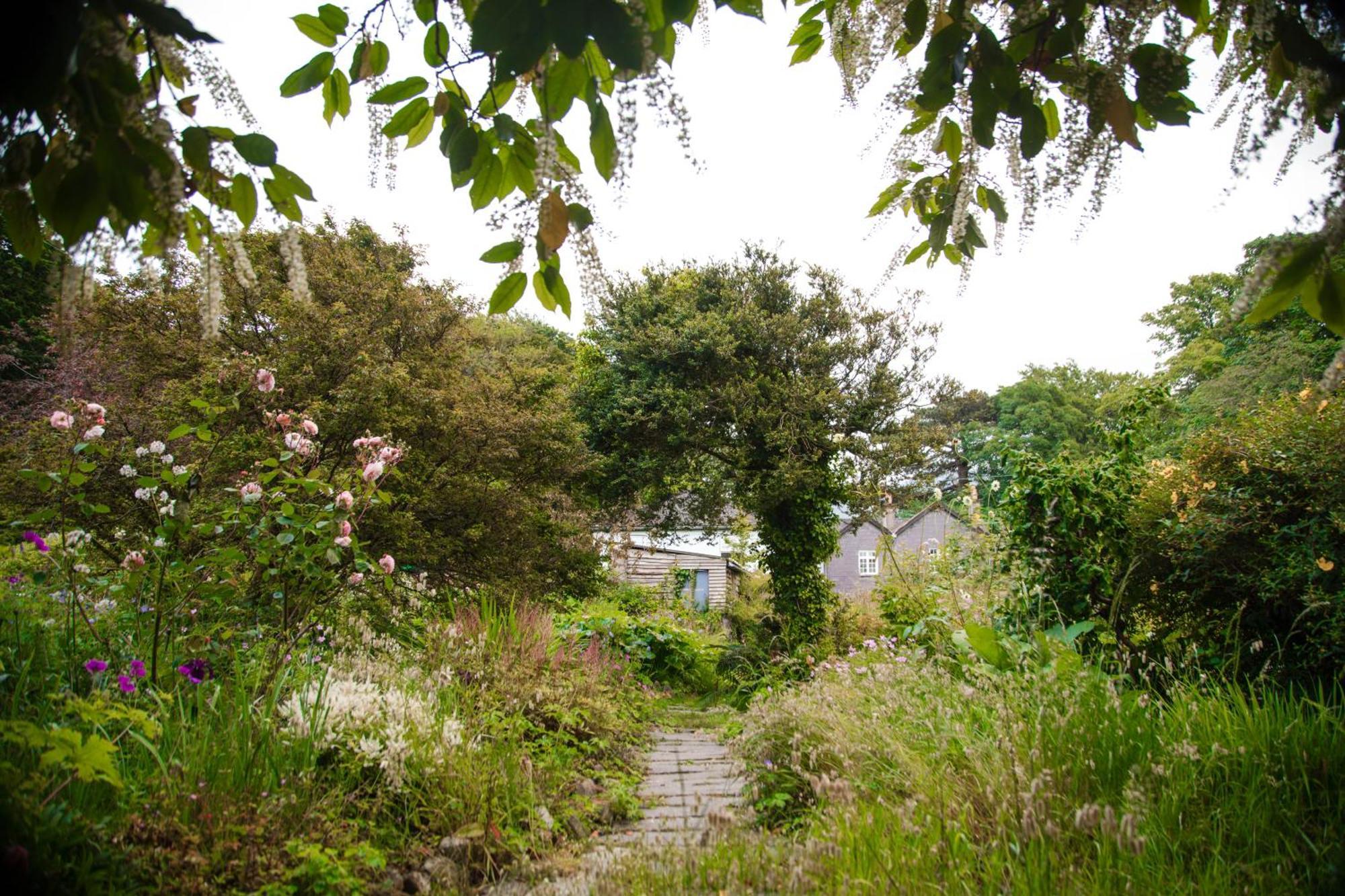 Nantlle Trigonos - Quiet, Peaceful, Vegetarian B&B And Retreat Centre المظهر الخارجي الصورة