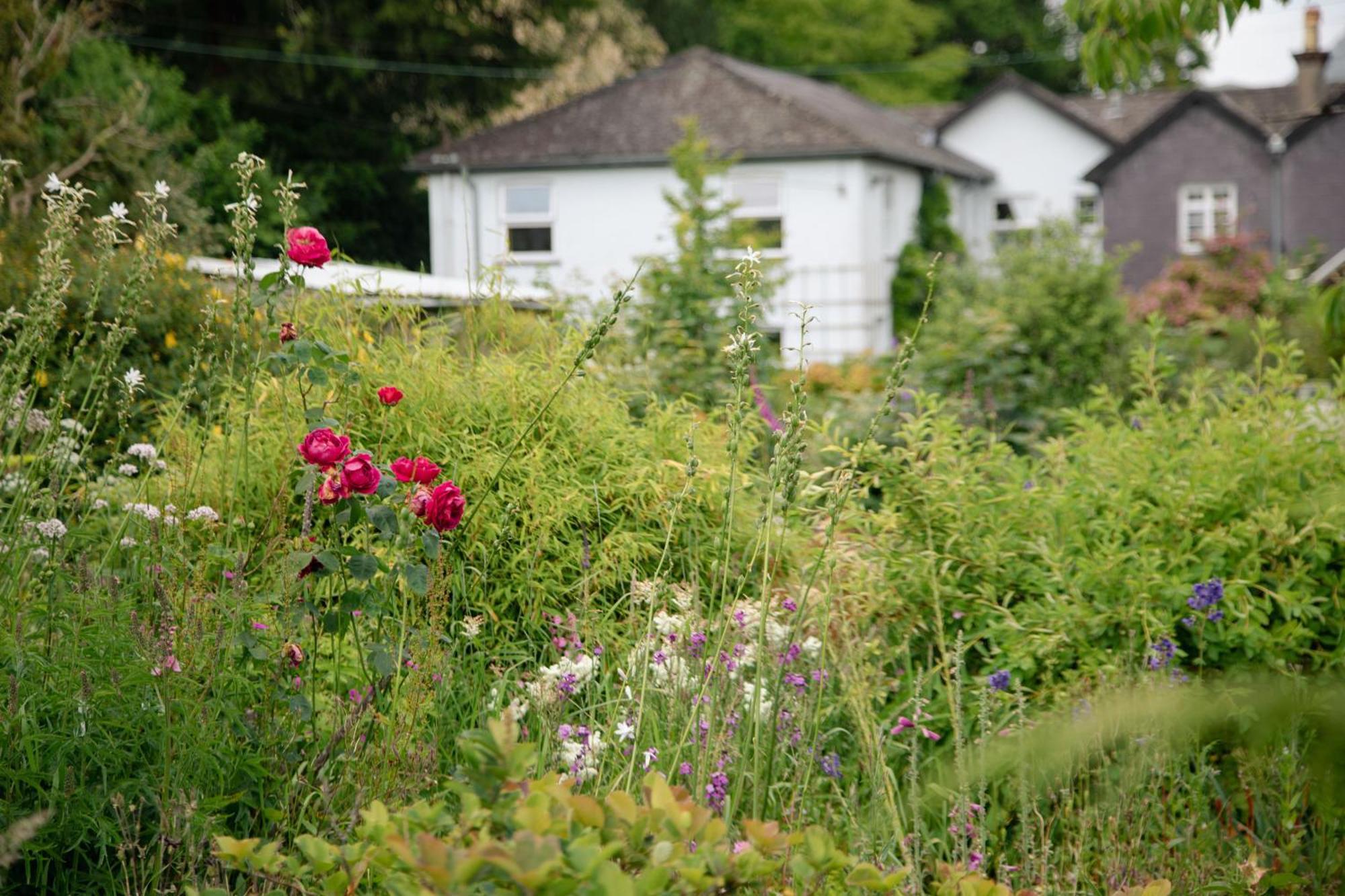 Nantlle Trigonos - Quiet, Peaceful, Vegetarian B&B And Retreat Centre المظهر الخارجي الصورة