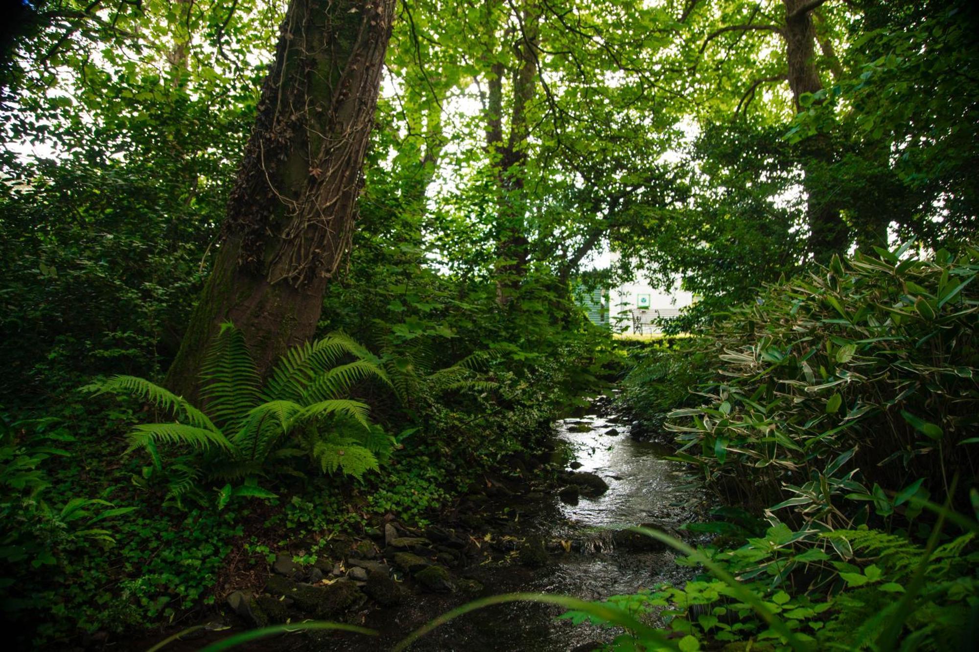 Nantlle Trigonos - Quiet, Peaceful, Vegetarian B&B And Retreat Centre المظهر الخارجي الصورة