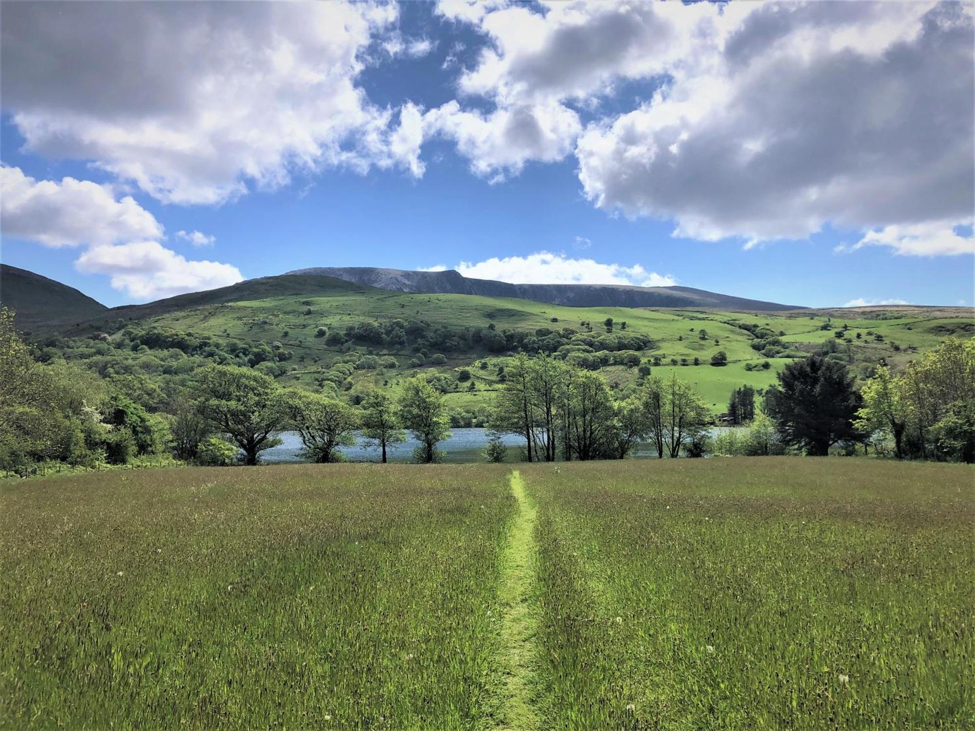 Nantlle Trigonos - Quiet, Peaceful, Vegetarian B&B And Retreat Centre المظهر الخارجي الصورة
